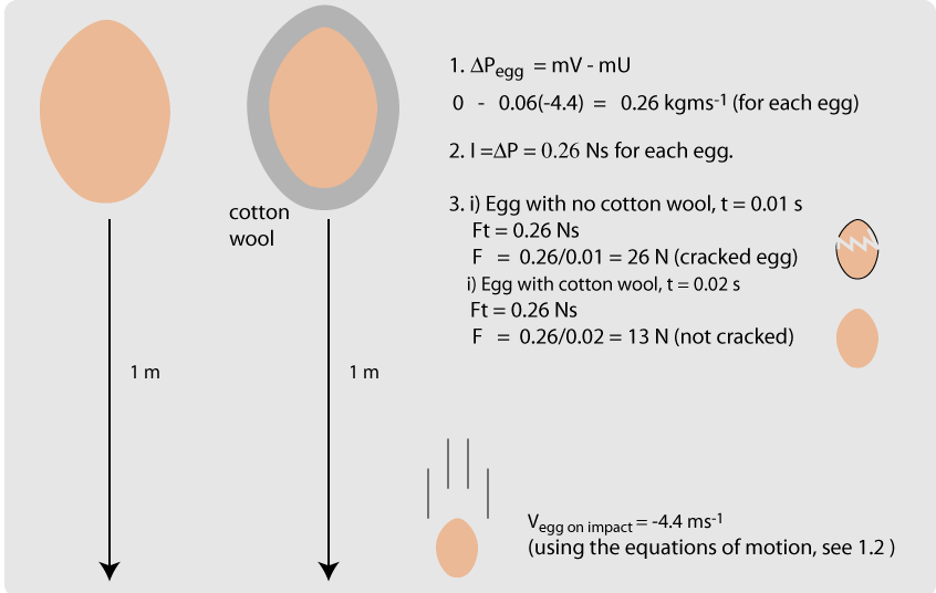 Diagram for egg problem