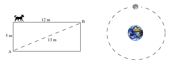 Illustrating distance and displacement