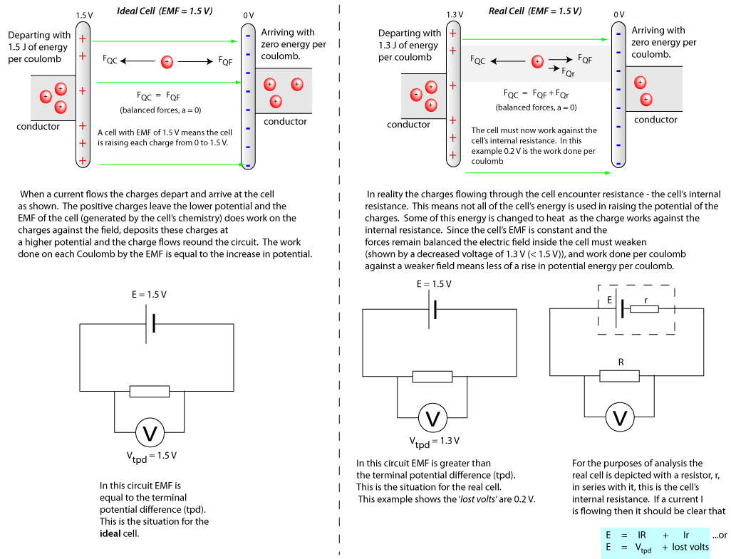 The ideal and non-ideal cell.
